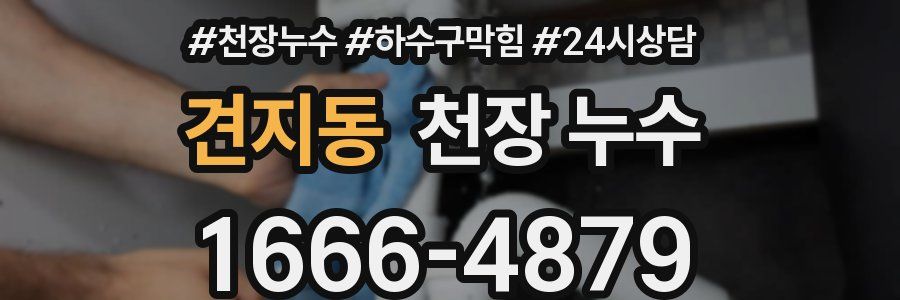 견지동 천장 누수