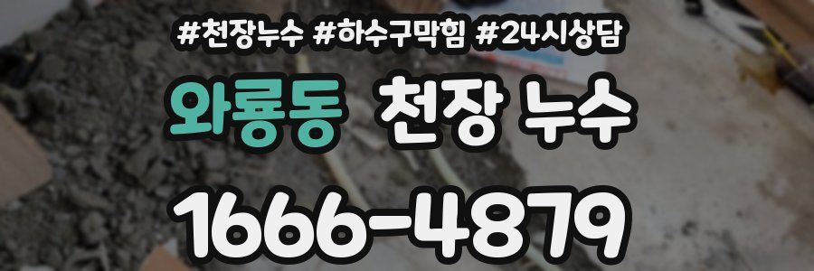 와룡동 천장 누수