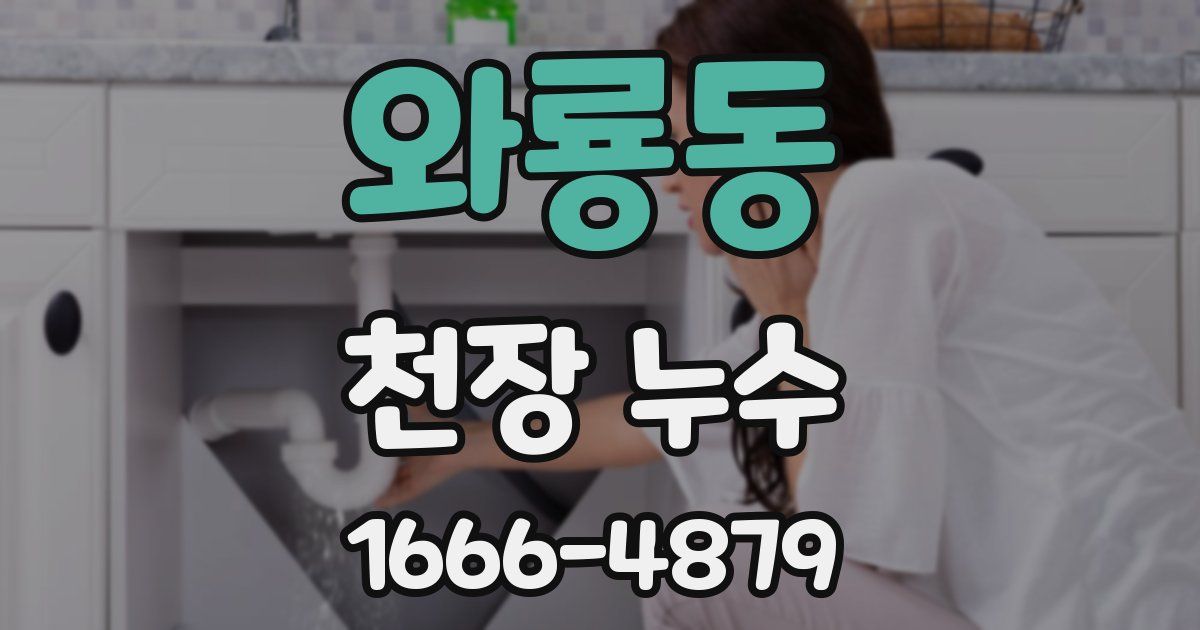 와룡동 천장 누수