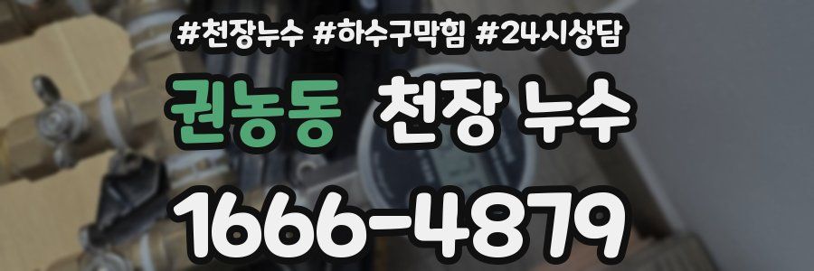 권농동 천장 누수