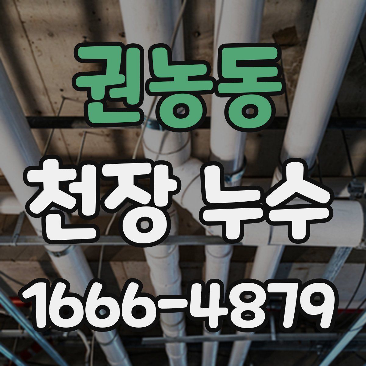 권농동 천장 누수