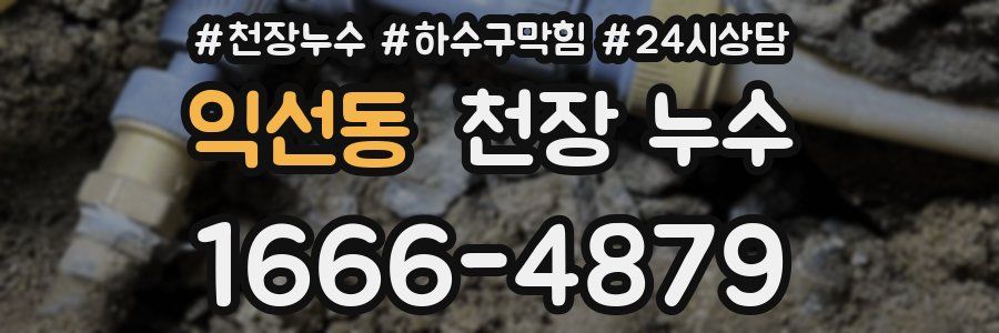 익선동 천장 누수