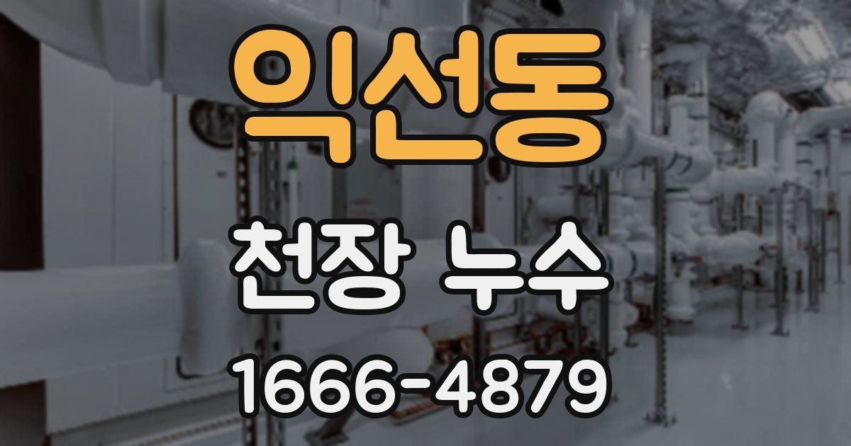 익선동 천장 누수