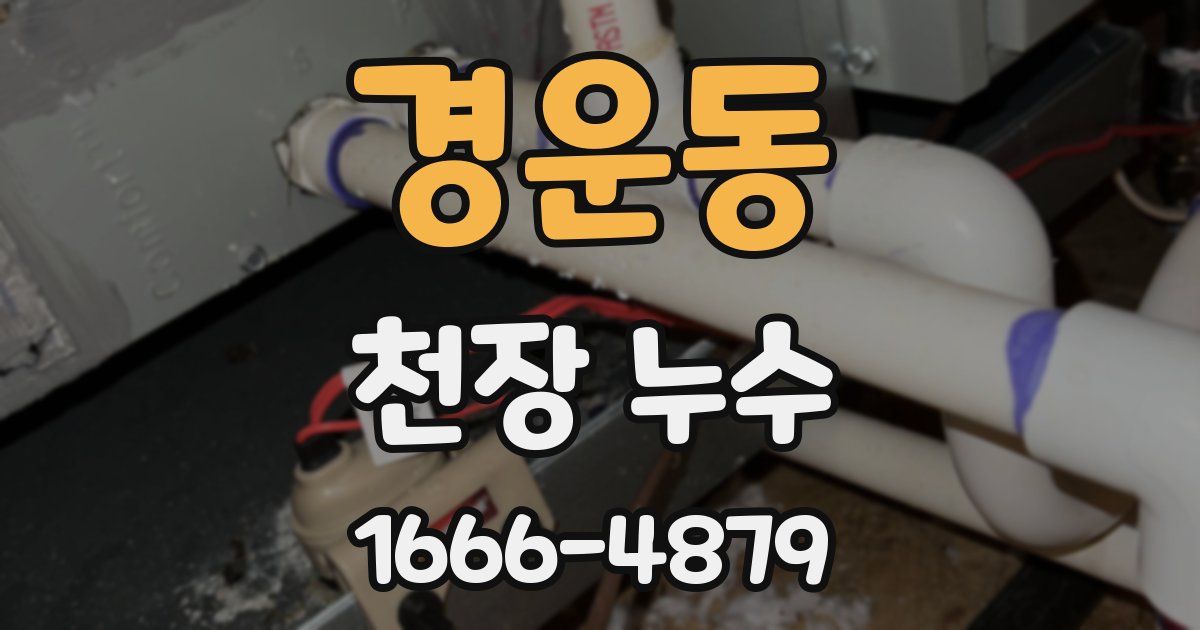 경운동 천장 누수