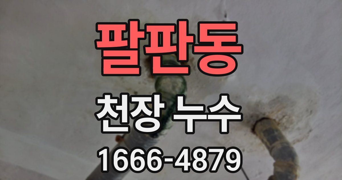 팔판동 천장 누수