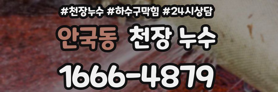 안국동 천장 누수