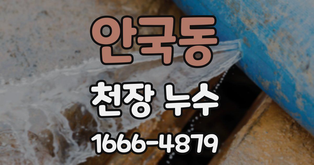 안국동 천장 누수