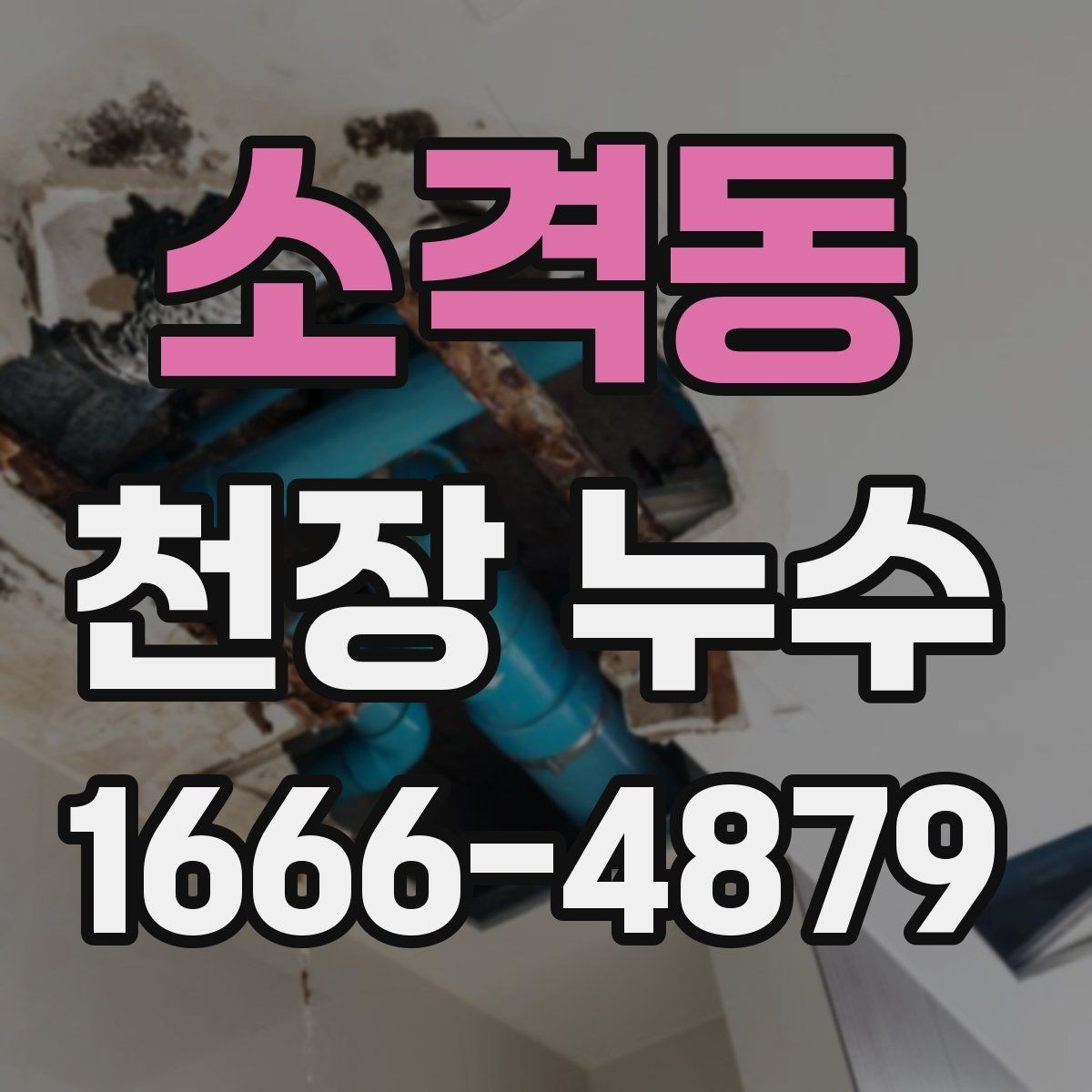 소격동 천장 누수 원인 확인까지 빠르게 가는 방법