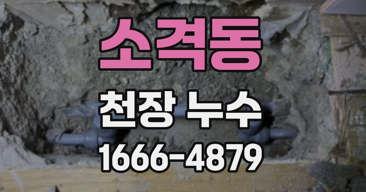 소격동 천장 누수