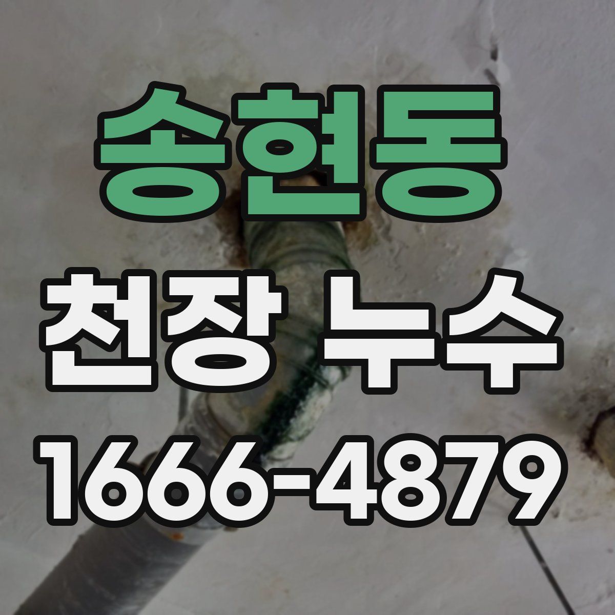 송현동 천장 누수