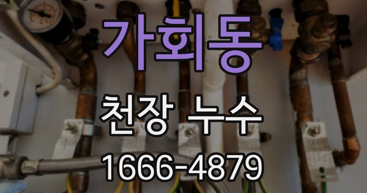 가회동 천장 누수