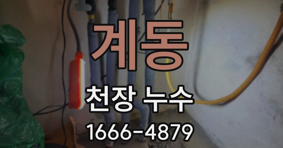 계동 천장 누수