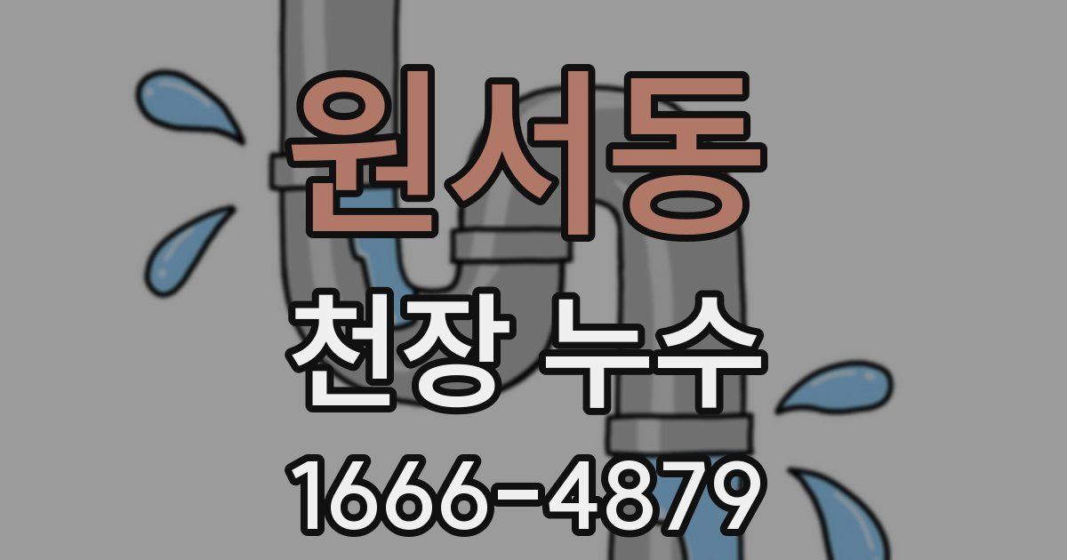 원서동 천장 누수