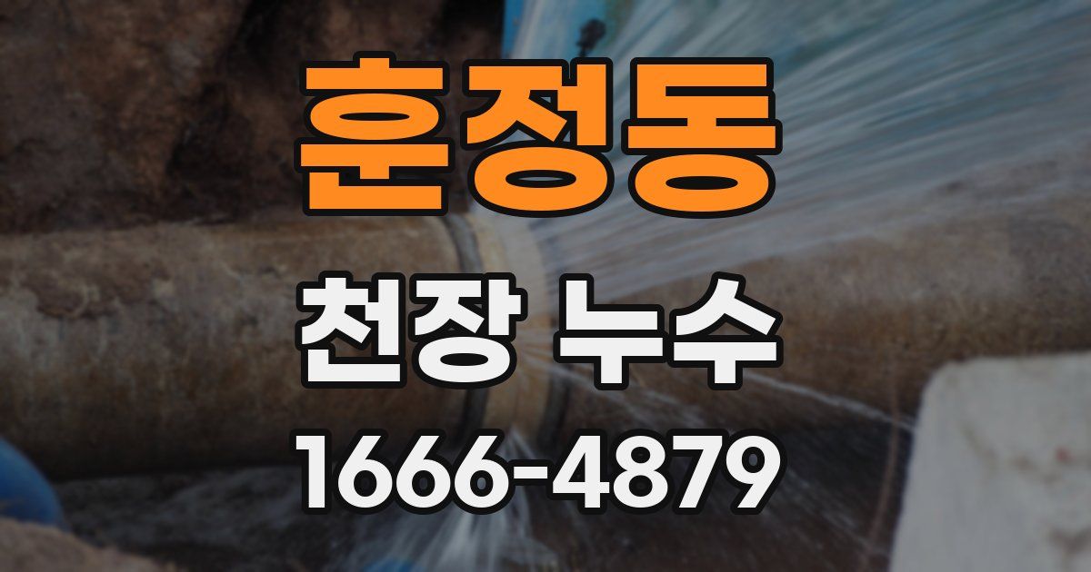 훈정동 천장 누수