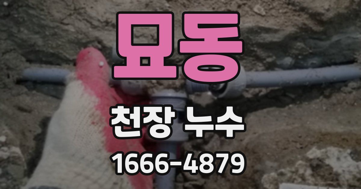 묘동 천장 누수