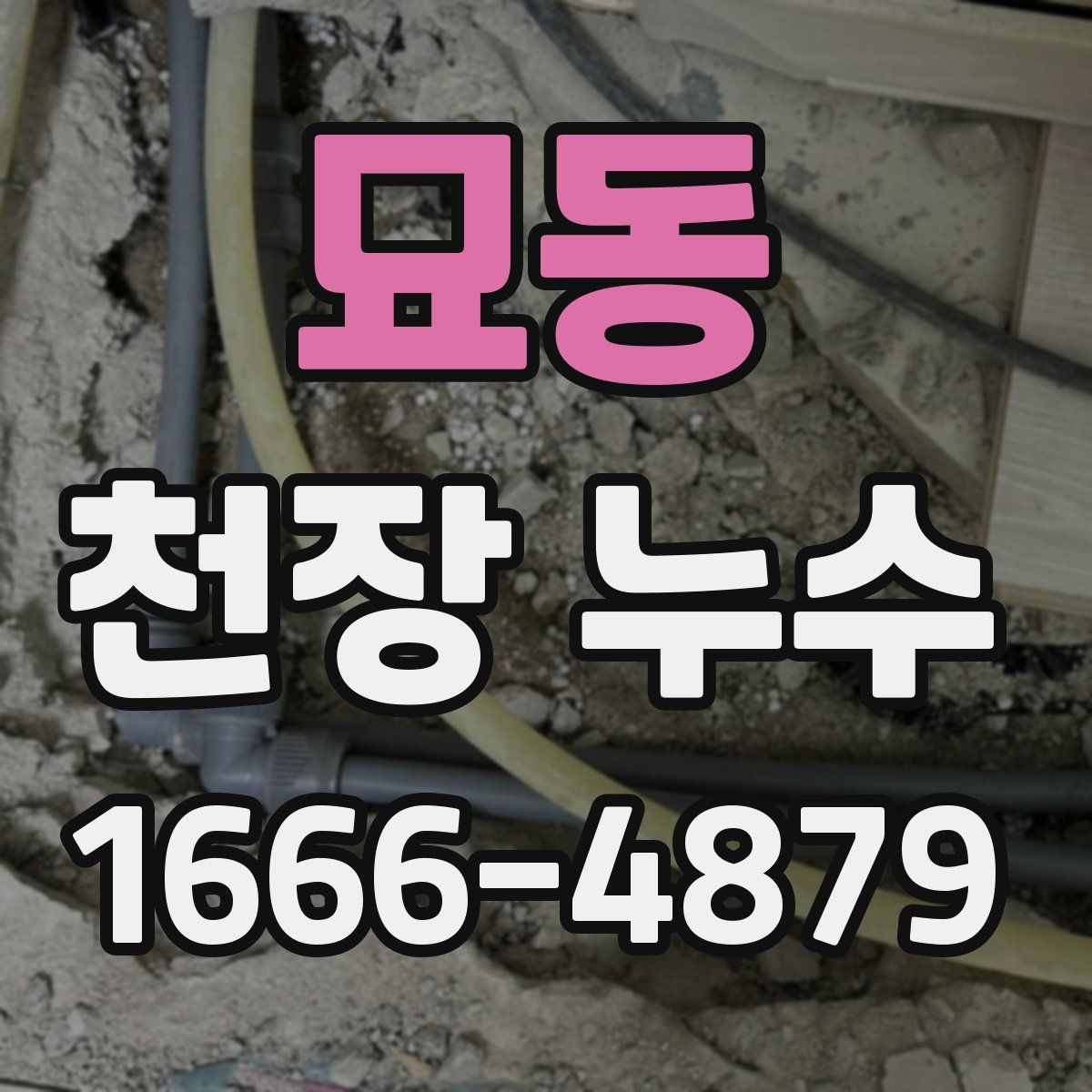 묘동 천장 누수