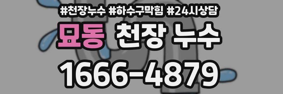 묘동 천장 누수