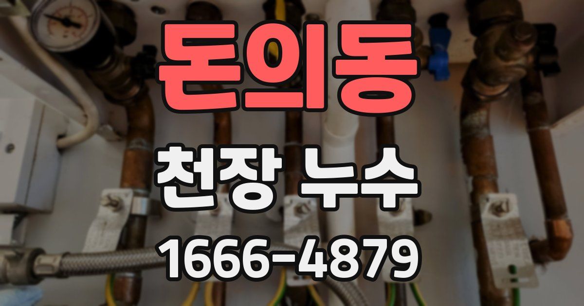 돈의동 천장 누수