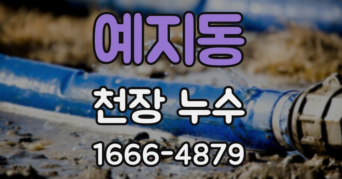 예지동 천장 누수