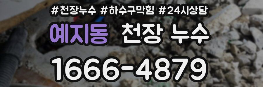 예지동 천장 누수