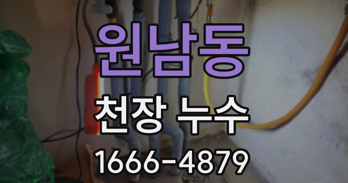 원남동 천장 누수