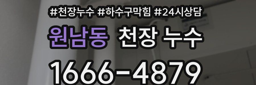 원남동 천장 누수