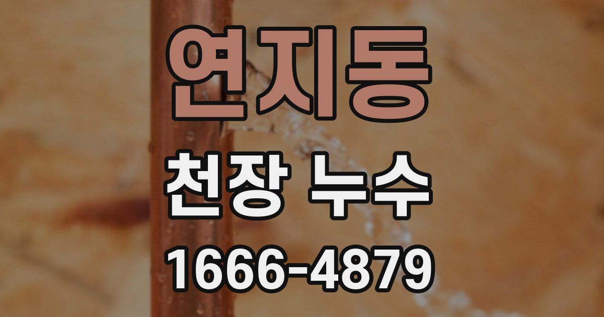 연지동 천장 누수