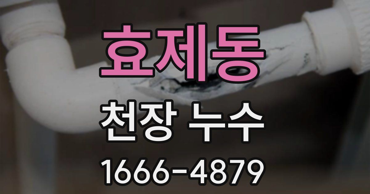 효제동 천장 누수