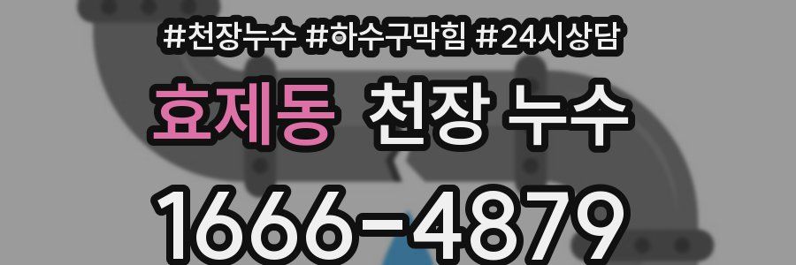 효제동 천장 누수