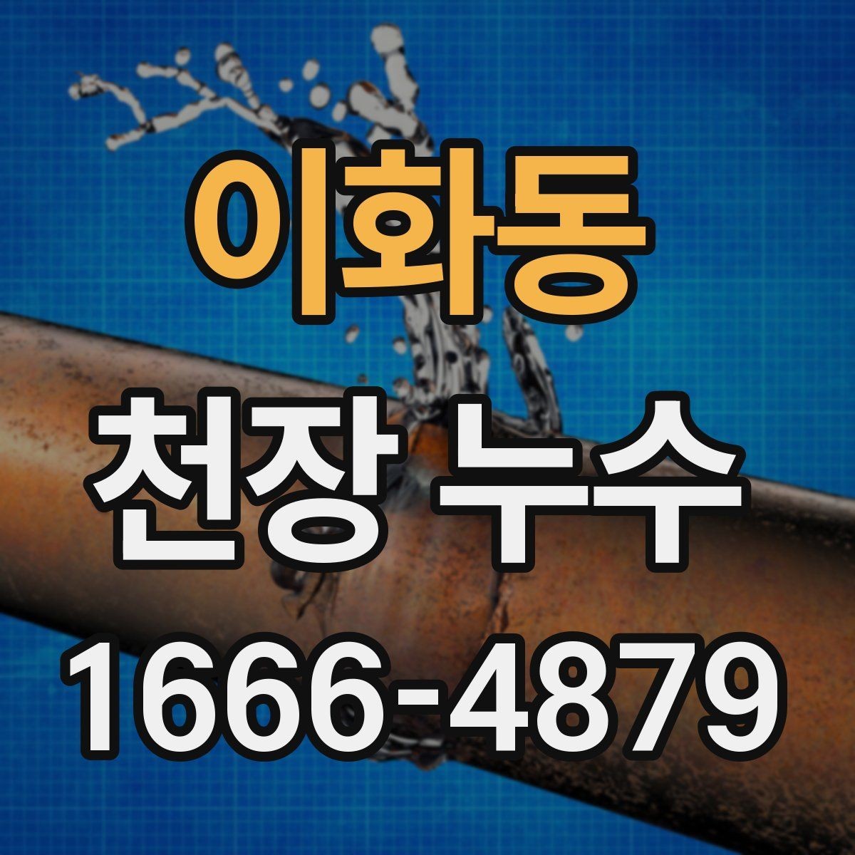 이화동 천장 누수 얼룩이 동그랗게 번지면 확인해야 할 원인