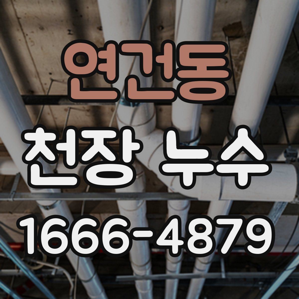 연건동 천장 누수 기다릴수록 복구 범위가 커집니다