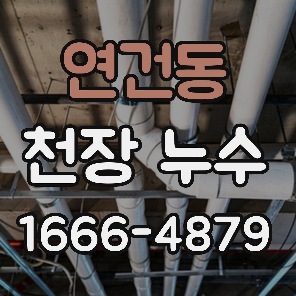 연건동 천장 누수