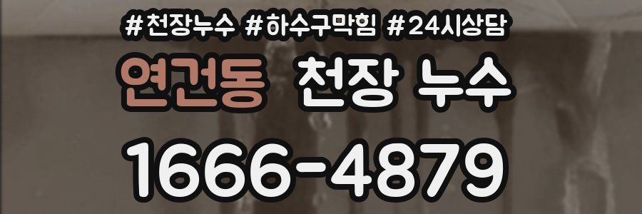 연건동 천장 누수