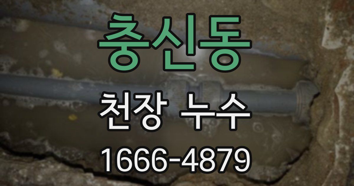 충신동 천장 누수