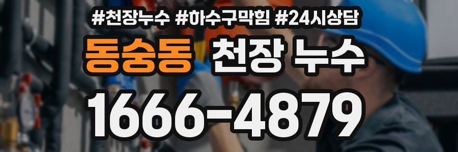 동숭동 천장 누수