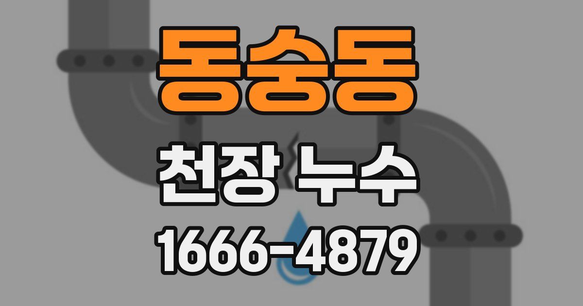 동숭동 천장 누수