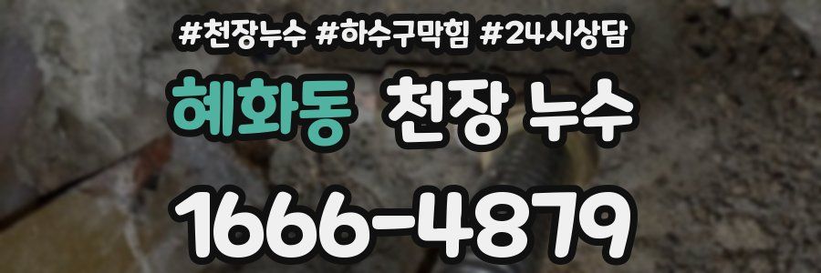 혜화동 천장 누수