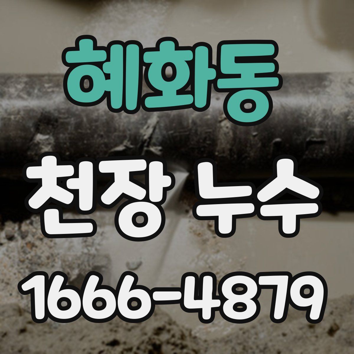 혜화동 천장 누수