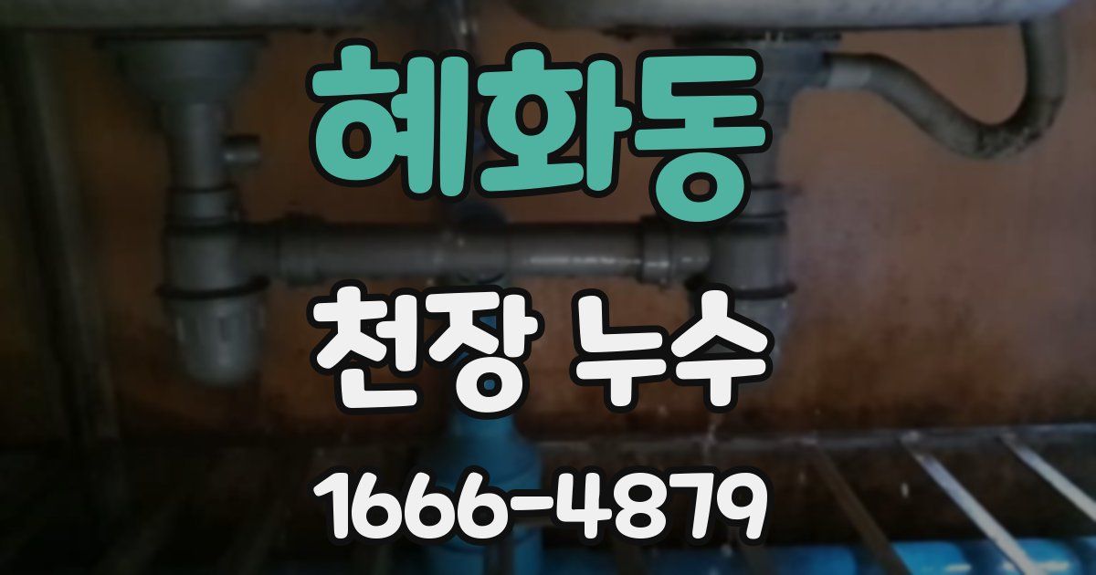 혜화동 천장 누수