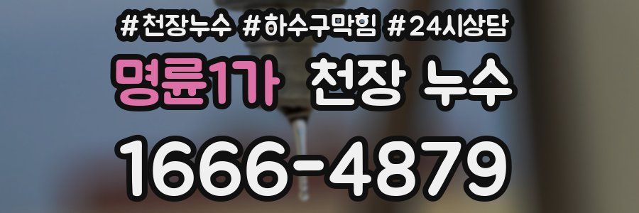 명륜1가 천장 누수