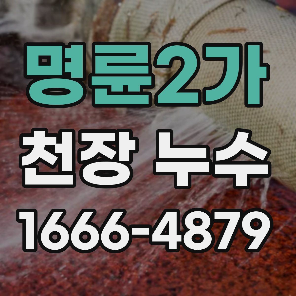 명륜2가 천장 누수 상부 배관에서 새는지 확인하는 포인트