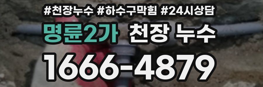 명륜2가 천장 누수