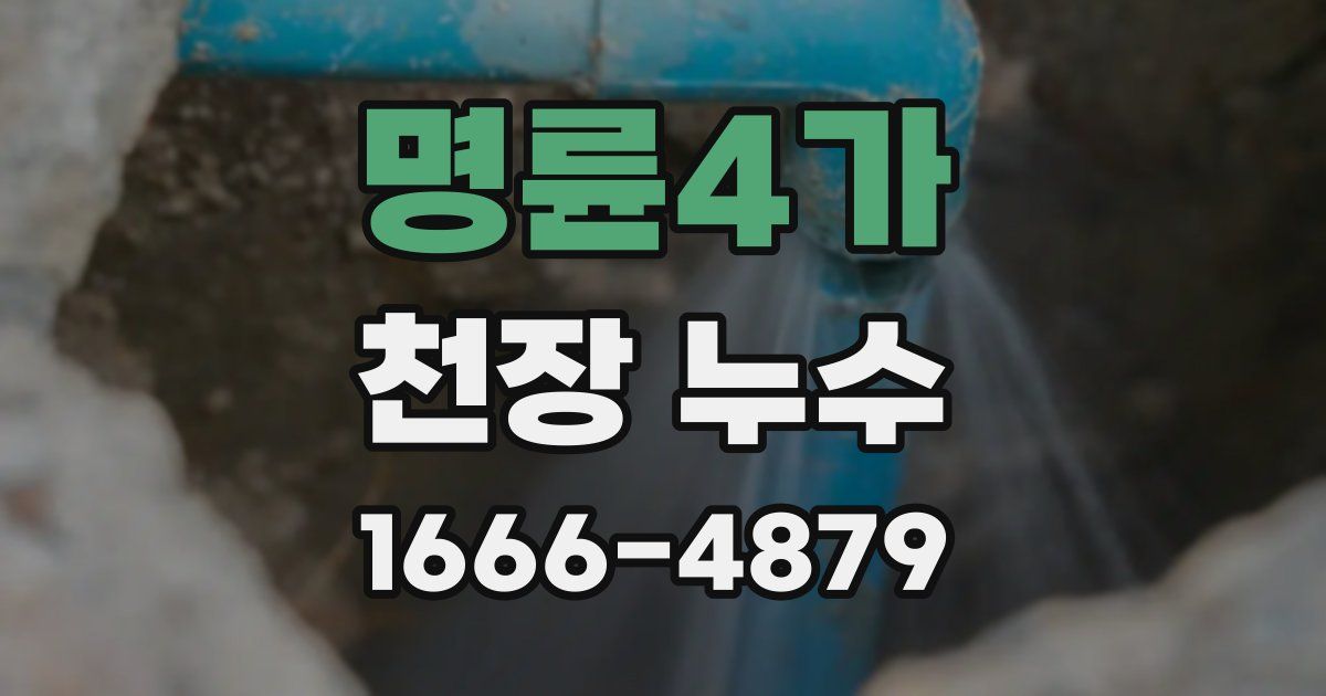 명륜4가 천장 누수