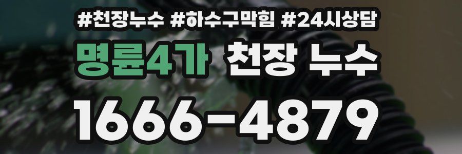 명륜4가 천장 누수