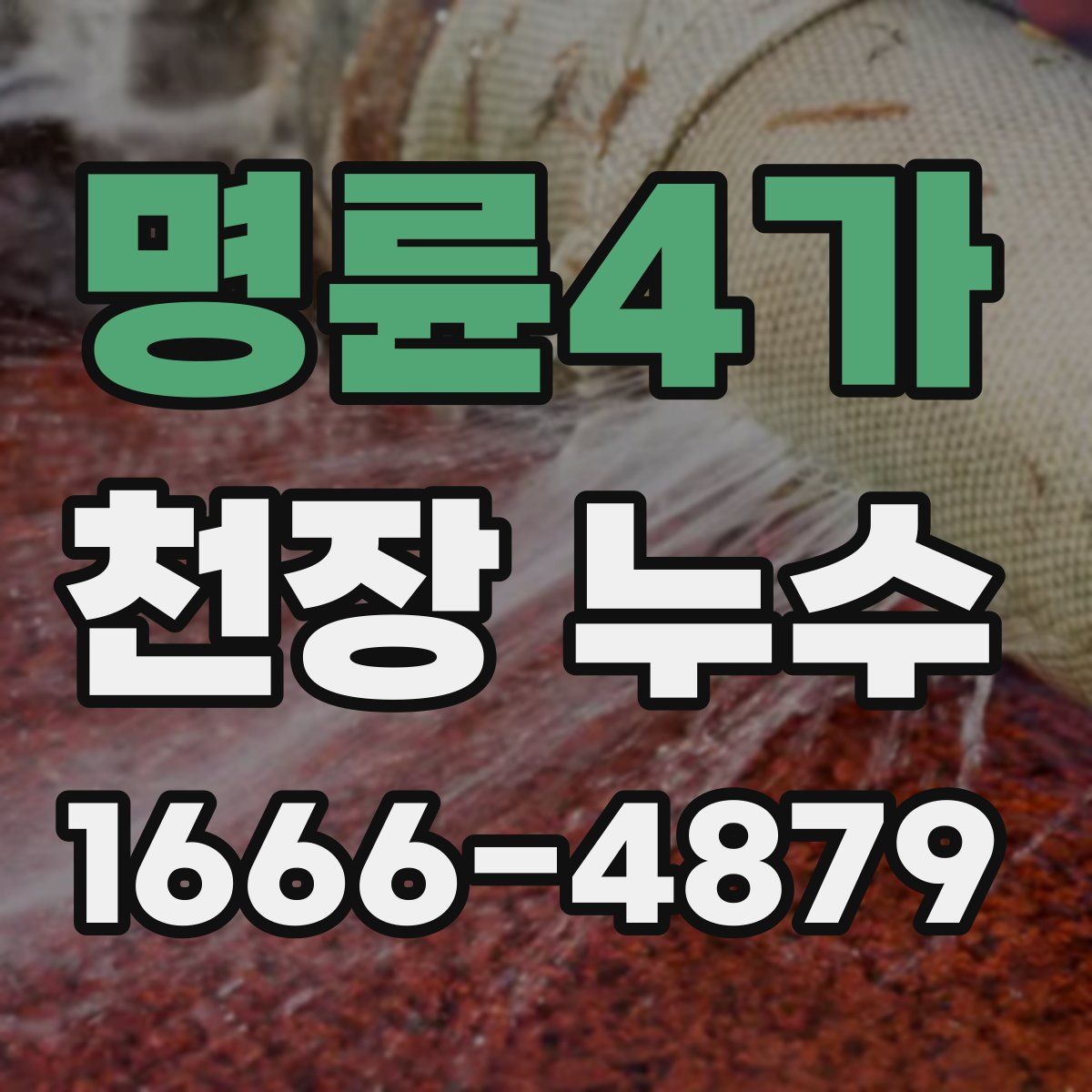 명륜4가 천장 누수