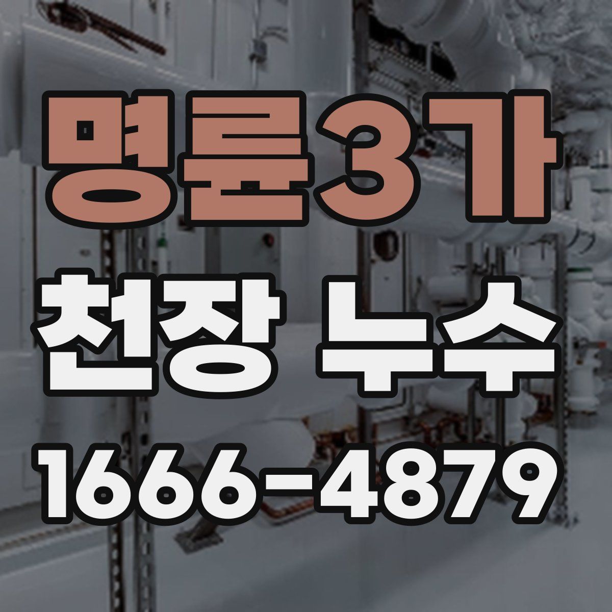 명륜3가 천장 누수