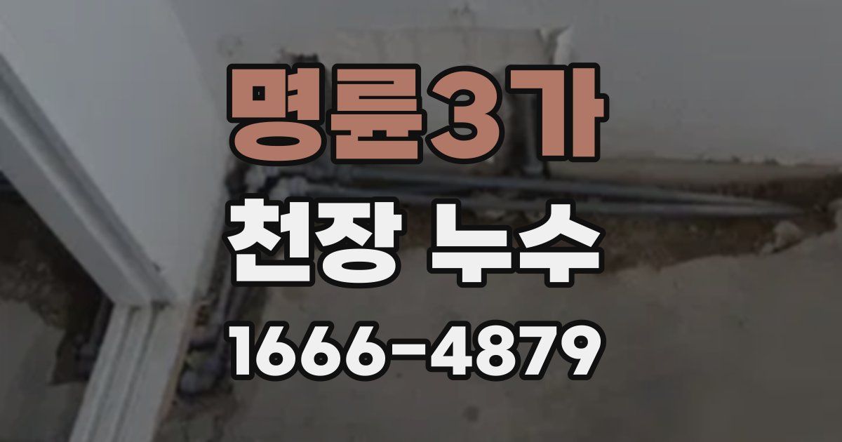 명륜3가 천장 누수
