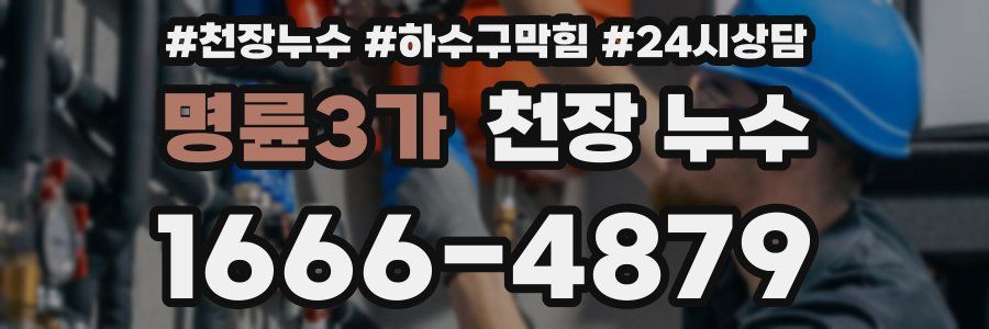 명륜3가 천장 누수