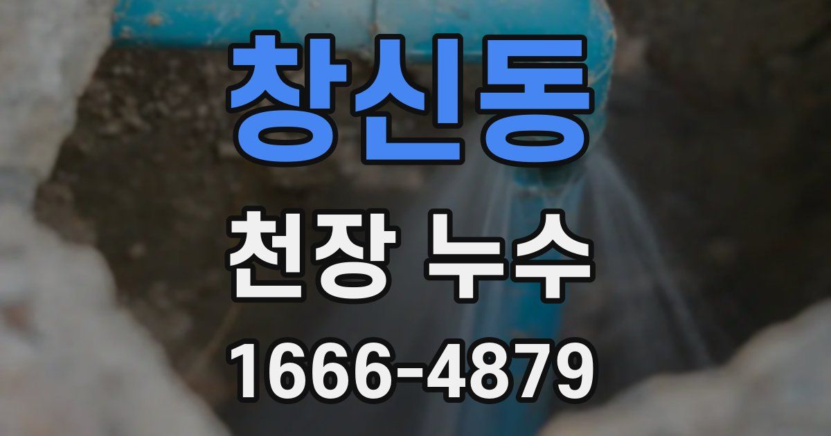 창신동 천장 누수