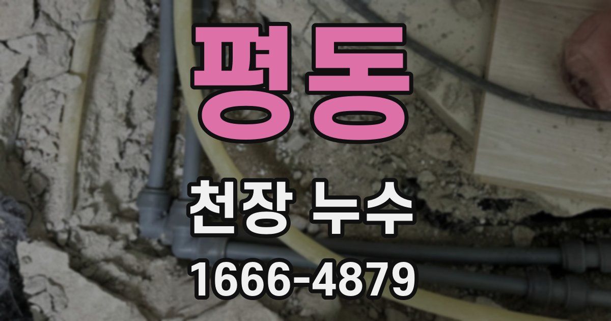 평동 천장 누수